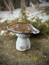 Load image into Gallery viewer, Mushroom - Copper Lichen