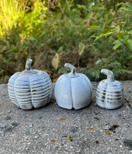 Load image into Gallery viewer, Pumpkins -Set of 3 White (II)
