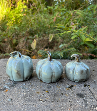Load image into Gallery viewer, Pumpkins -Set of 3 Sage

