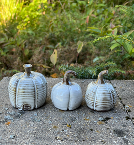 Pumpkins -Set of 3 White