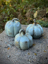 Load image into Gallery viewer, Pumpkins -Set of 3 Sage
