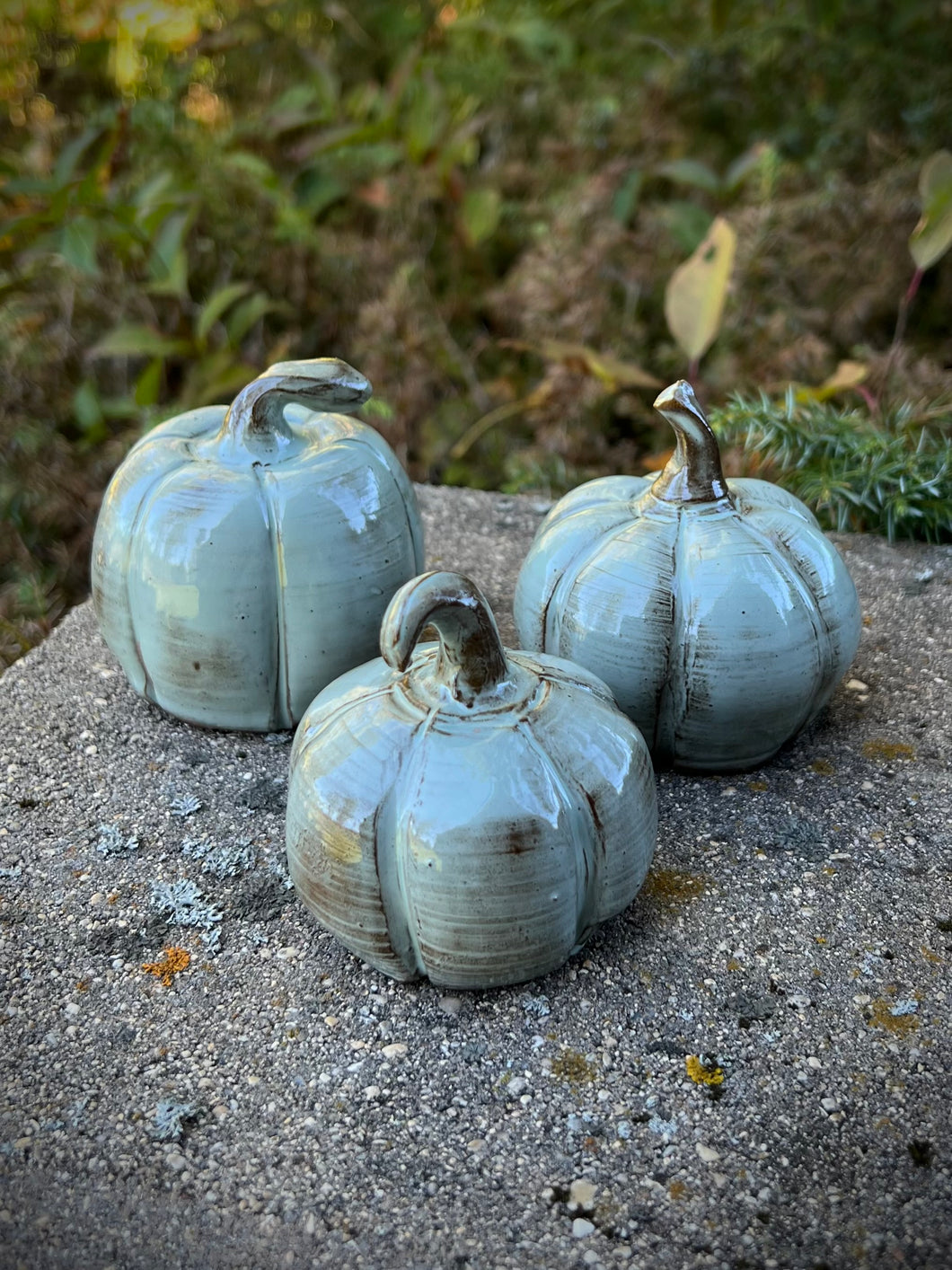 Pumpkins -Set of 3 Sage