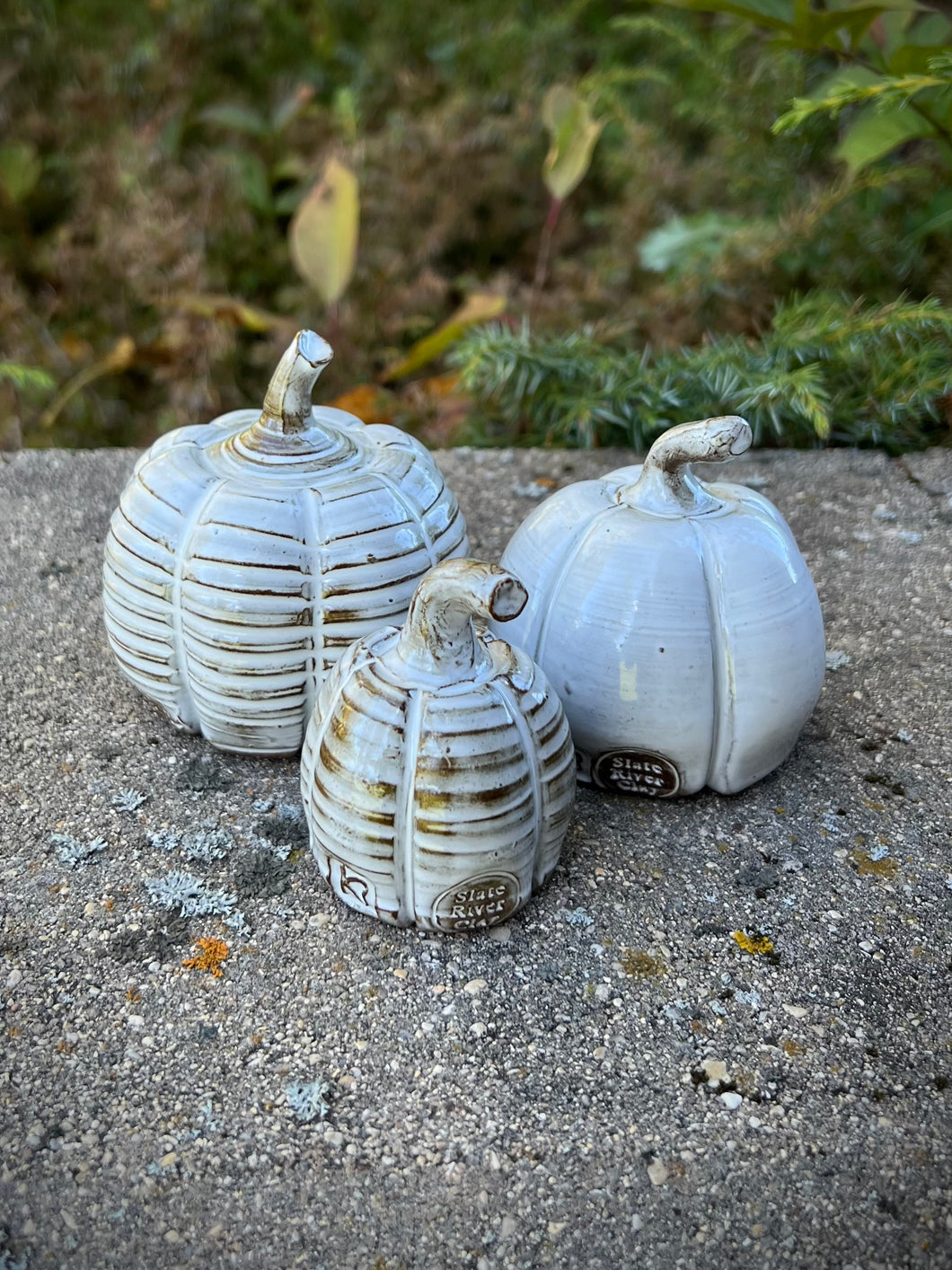 Pumpkins -Set of 3 White (II)
